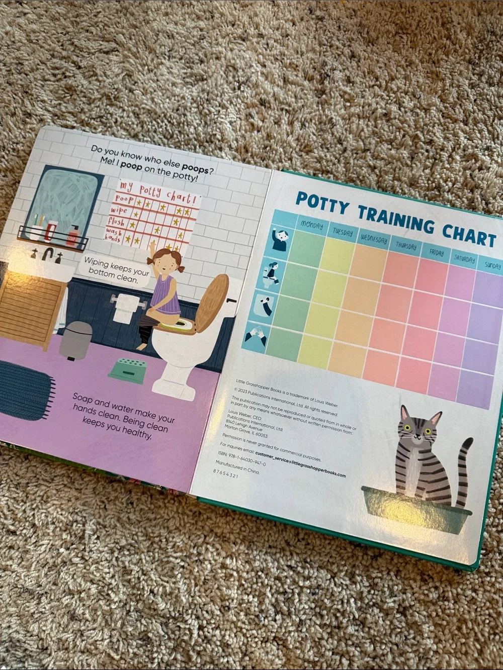 3/$25 🪩 Potty Training XL Board Book | Toddler Lift the Flap Book